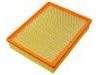 空氣濾清器 Air Filter:25313348